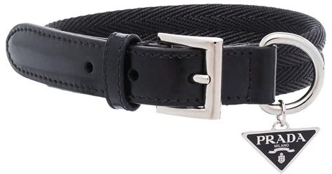 prada collar dog|best designer dog collar.